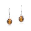 Tiger Eye Gemstone Embedded Dangle Earrings - Image 3