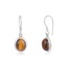 Tiger Eye Gemstone Embedded Dangle Earrings