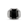 Tiger Roar Black Onyx Stone Silver Men Ring - Image 6